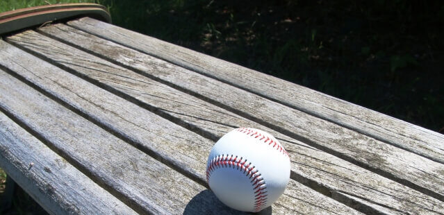 baseballbench